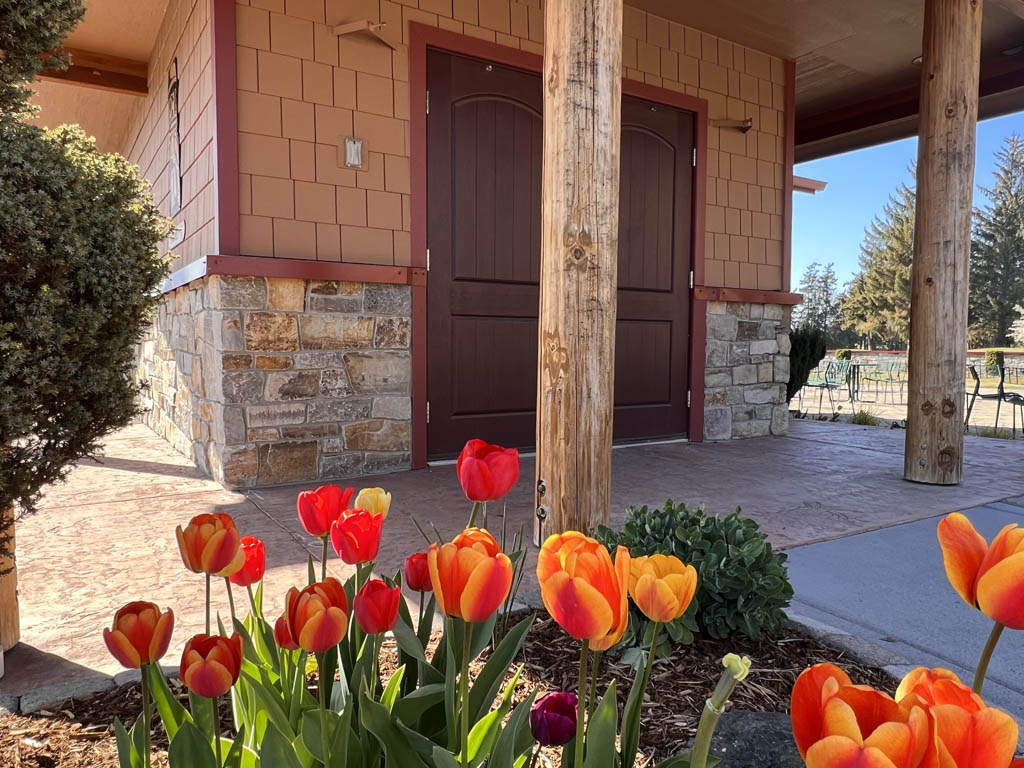 Thin-veneer-clubhouse-5